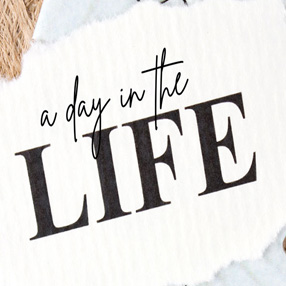 A Day In The Life
