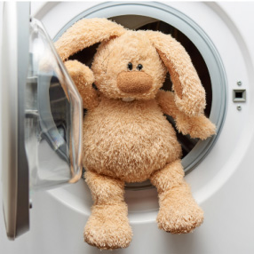 Don’t Wash The Rabbit