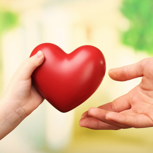 Being a Foster Carer